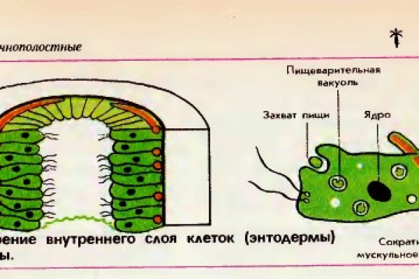 Кракен как зайти