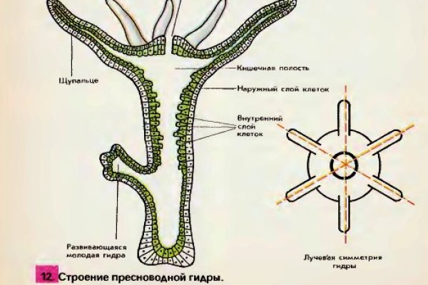 Кракен сайт войти